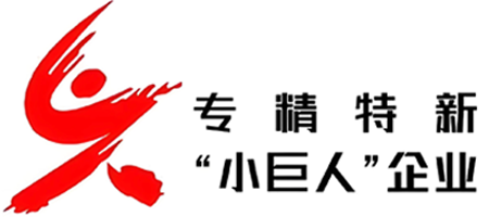 "专精特新“小巨人企业